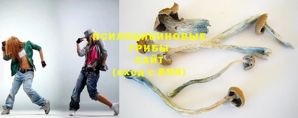 а пвп мука Протвино