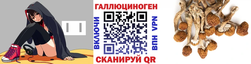 Купить где  Йошкар-Ола  Псилоцибиновые грибы Psilocybe 